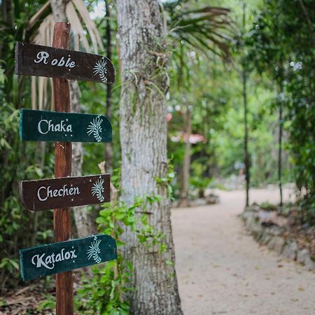 Hotel El Chital Raudales エクステリア 写真