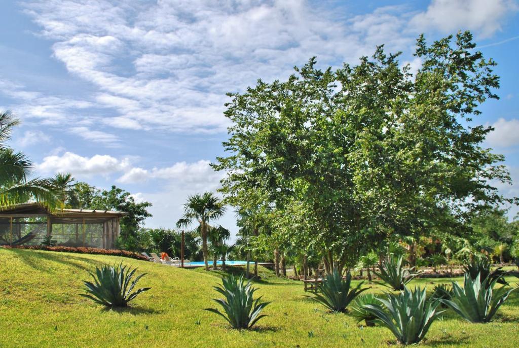 Hotel El Chital Raudales エクステリア 写真